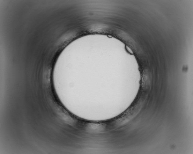 X0000101390454200808041021