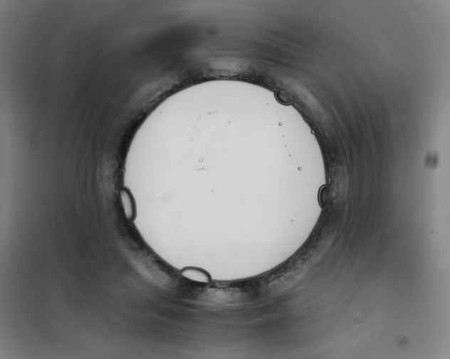 X0000101390455200808041021