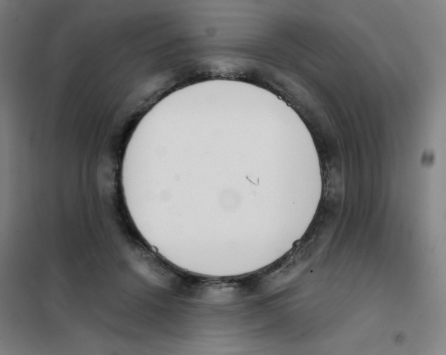 X0000101390456200808041021