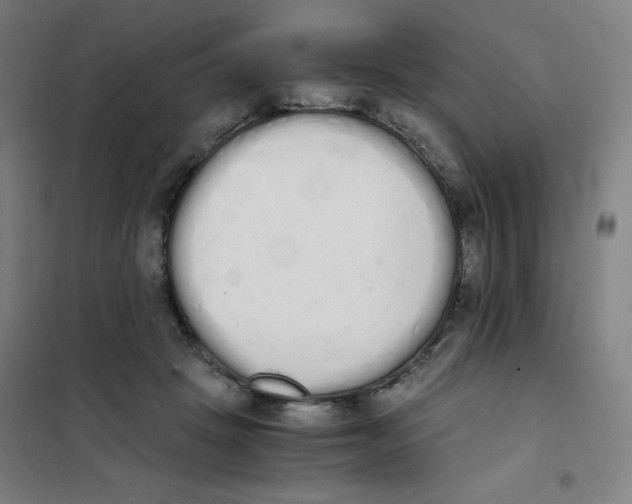 X0000101390457200808041021
