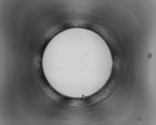 X0000101390458200808041021