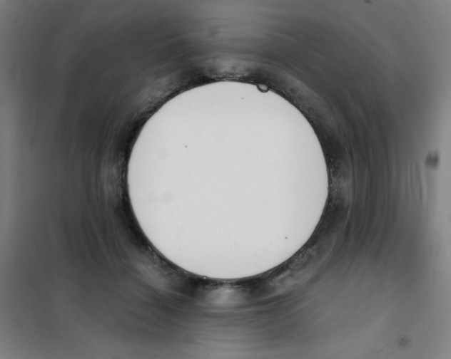 X0000101390460200808041021
