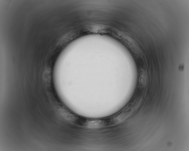 X0000101390461200808041021