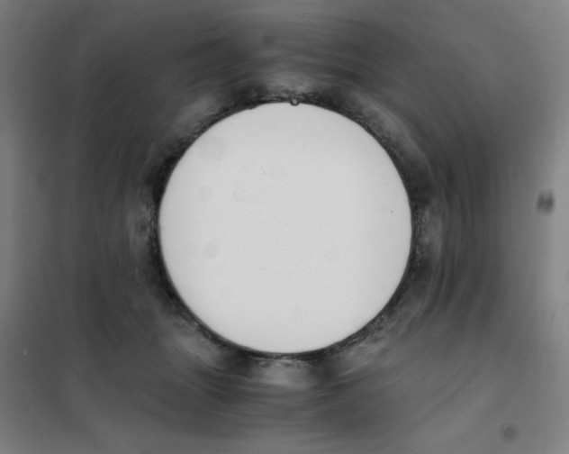 X0000101390463200808041021