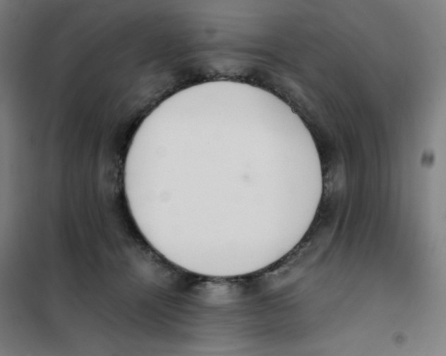 X0000101390464200808041021