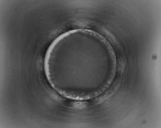 X0000101390465200808041021