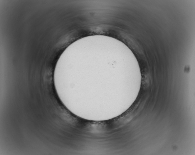 X0000101390466200808041021