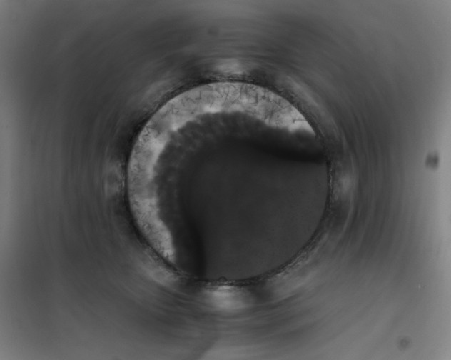 X0000101390467200808041021