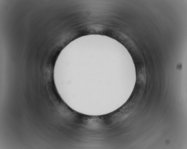 X0000101390468200808041021
