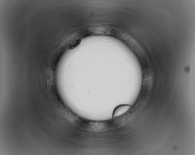 X0000101390469200808041021