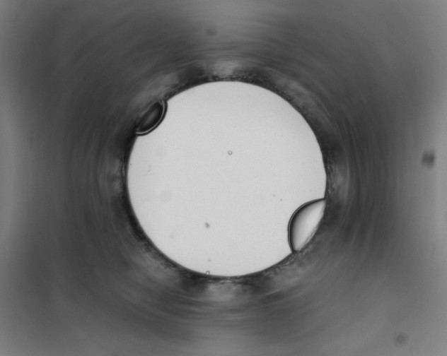 X0000101390470200808041021