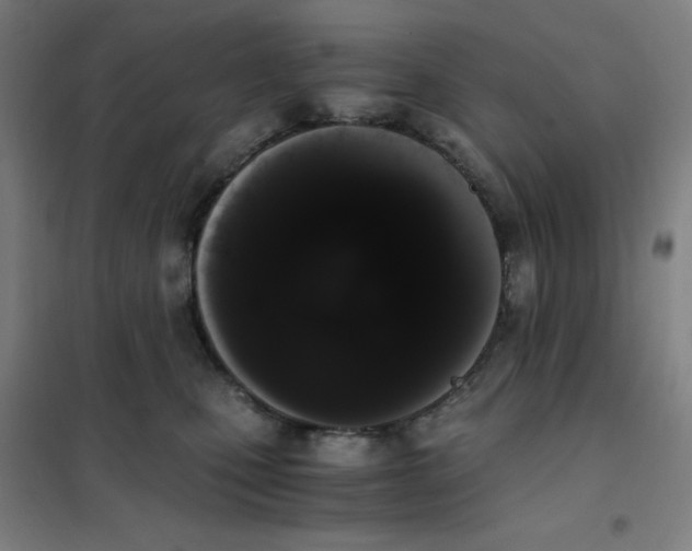 X0000101390471200808041021