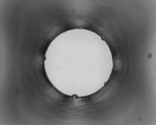 X0000101390472200808041021