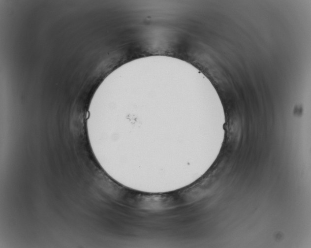 X0000101390473200808041021