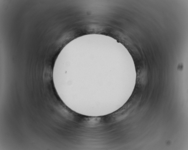X0000101390474200808041021