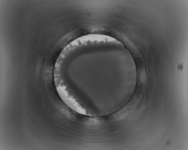 X0000101390475200808041021