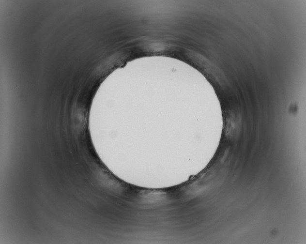 X0000101390476200808041021