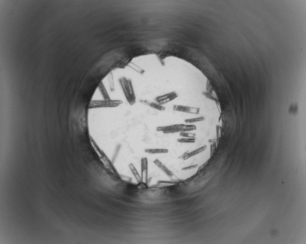 X0000101390479200808041021
