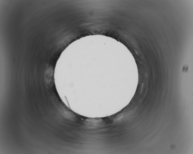 X0000101390480200808041021