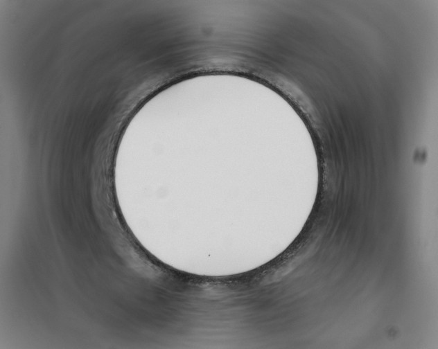 X0000101390481200808041020