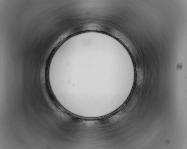 X0000101390482200808041020