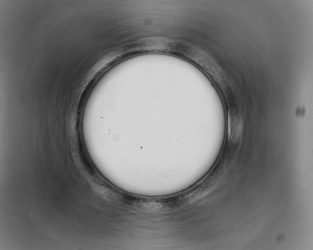 X0000101390483200808041020