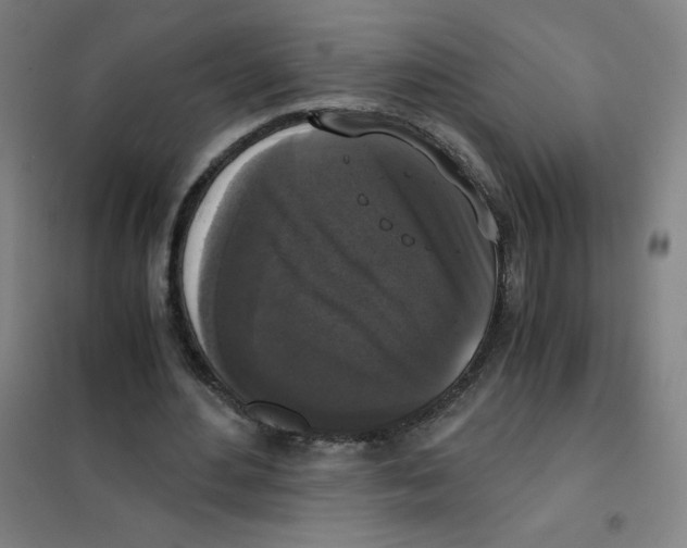 X0000101390484200808041020