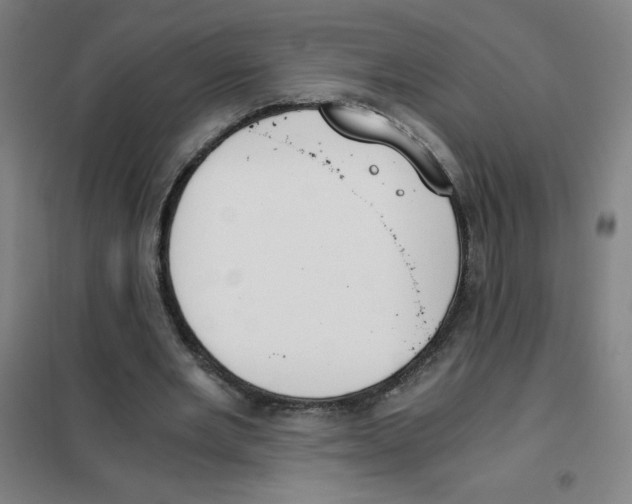 X0000101390485200808041020