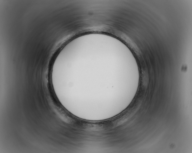X0000101390486200808041020