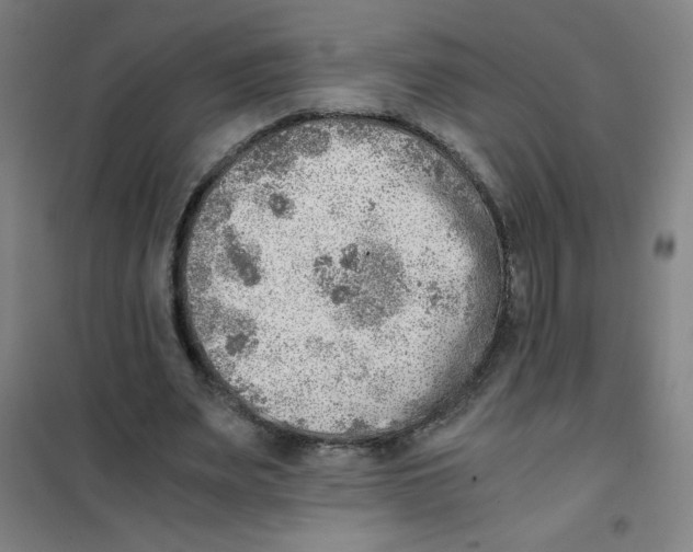 X0000101390487200808041020
