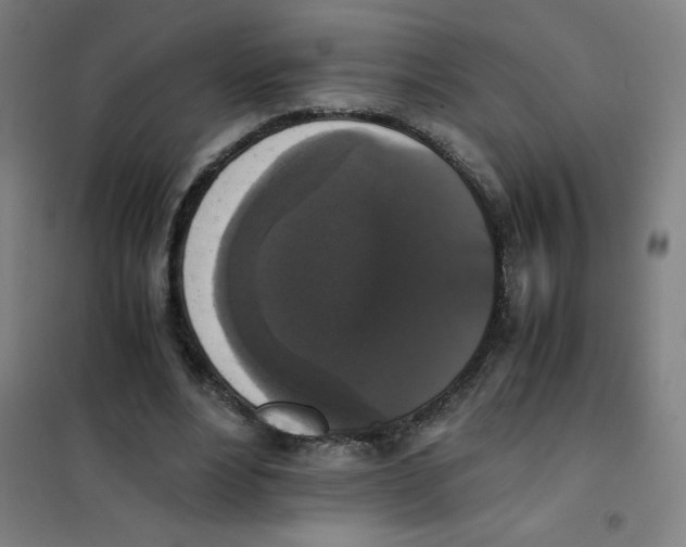 X0000101390488200808041020