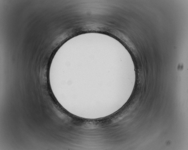 X0000101390489200808041020