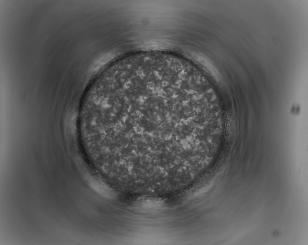 X0000101390491200808041020