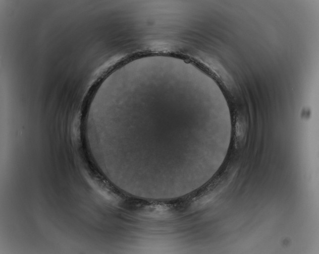 X0000101390492200808041020