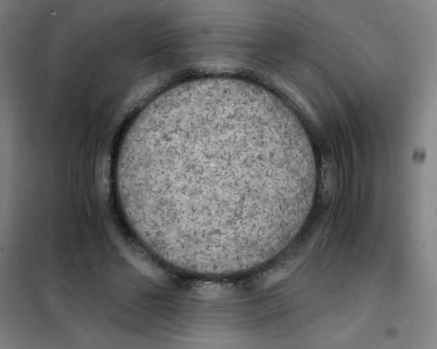 X0000101390494200808041020