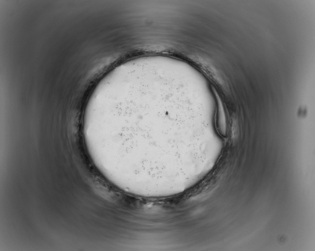 X0000101390495200808041020