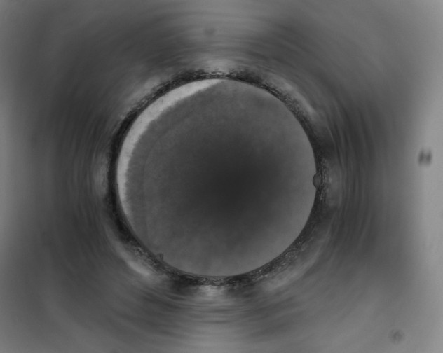 X0000101390496200808041020