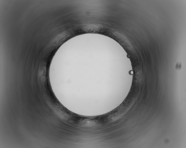 X0000101390498200808041020