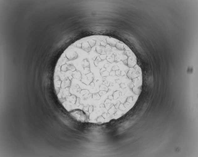 X0000101390499200808041020