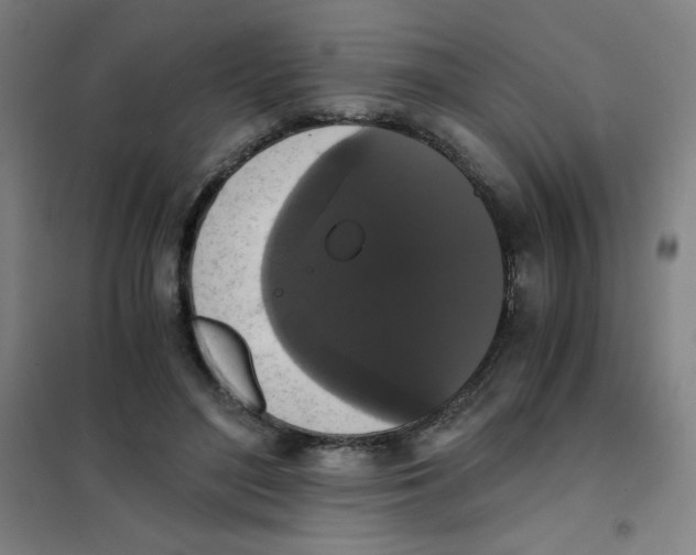 X0000101390500200808041020