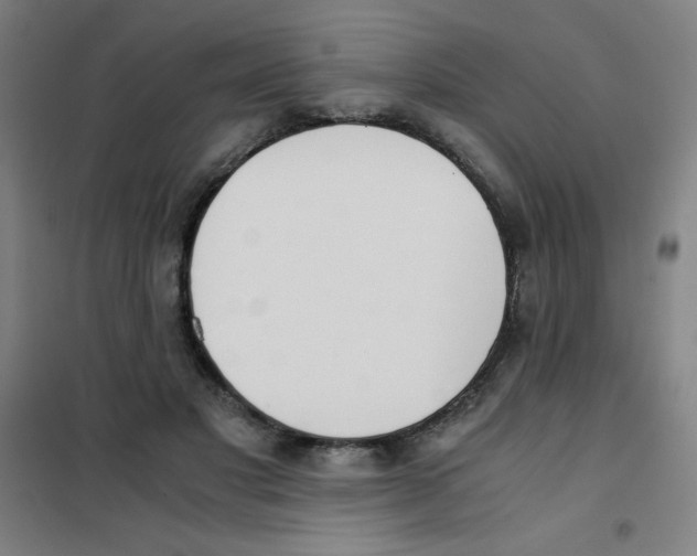 X0000101390501200808041020