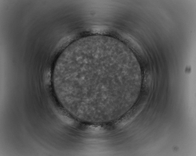X0000101390502200808041020