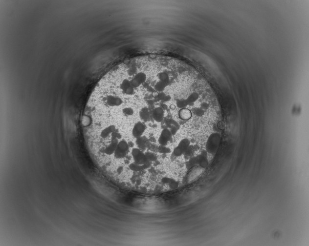 X0000101390503200808041020