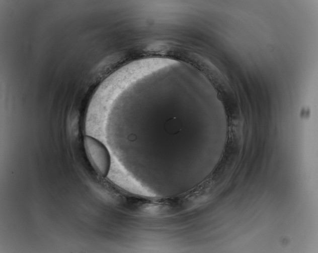 X0000101390504200808041020