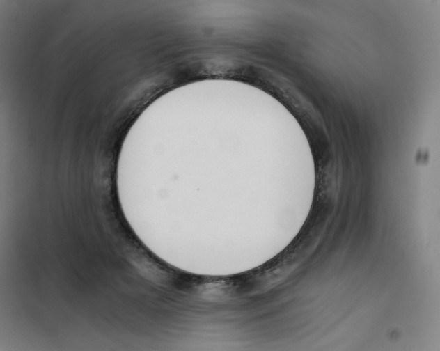 X0000101390505200808041020