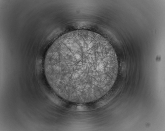 X0000101390506200808041020