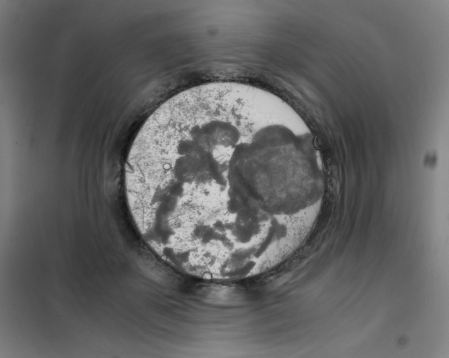X0000101390507200808041020