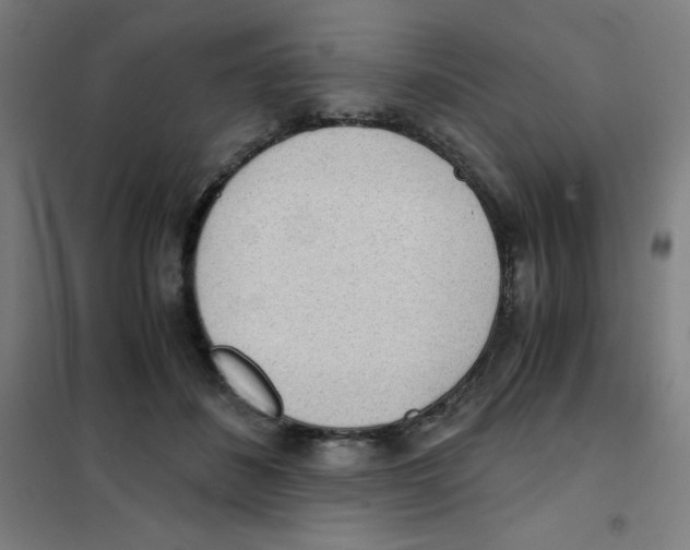 X0000101390508200808041020