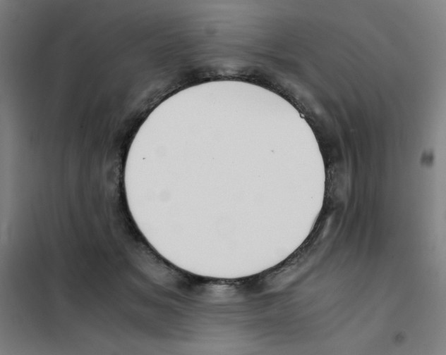 X0000101390509200808041020