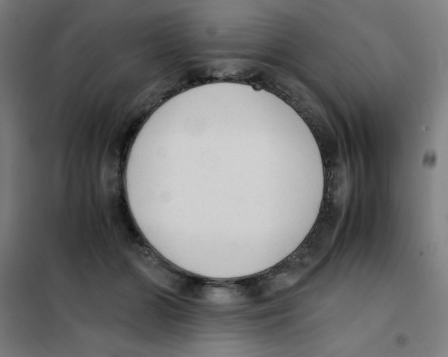 X0000101390510200808041020